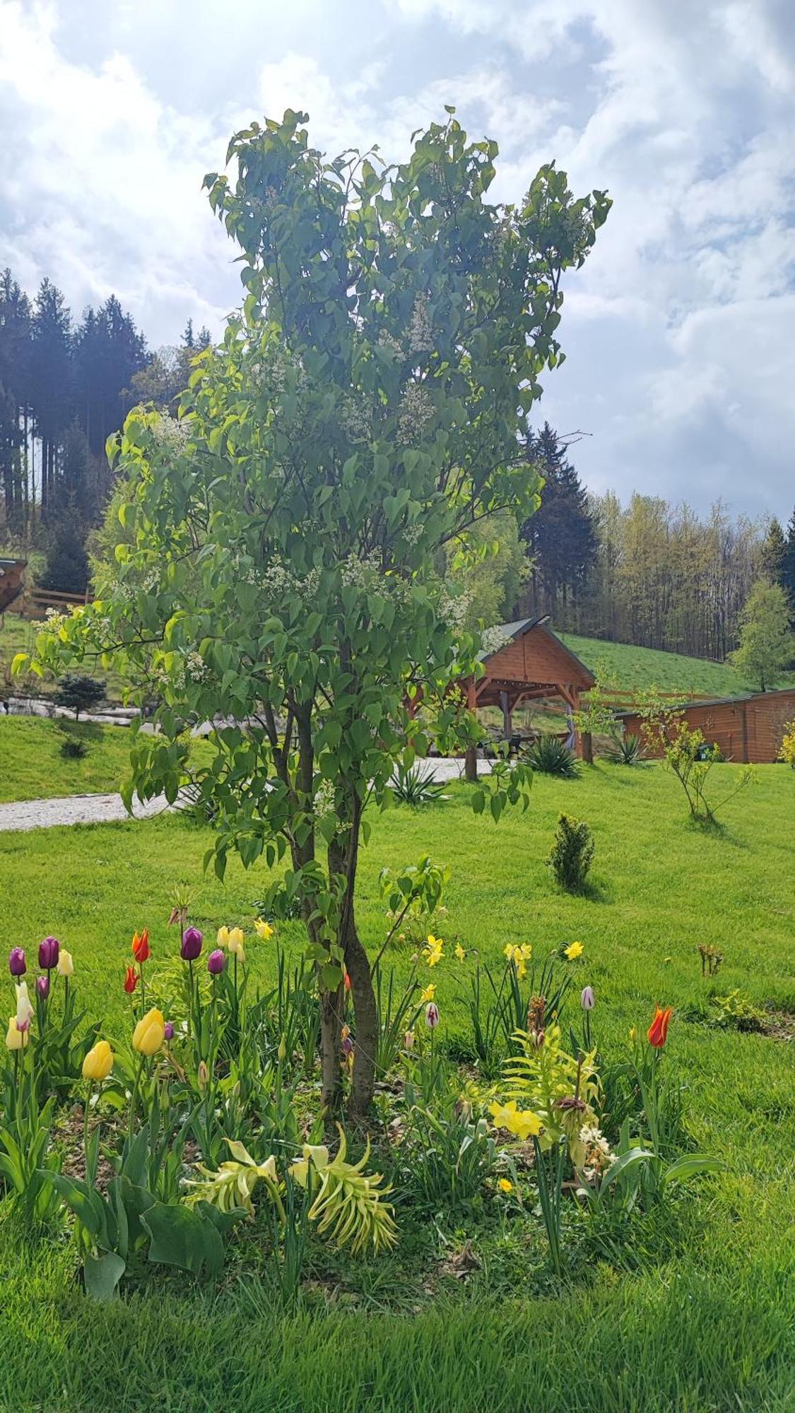 Domki Kolorowe Marciszow Dış mekan fotoğraf